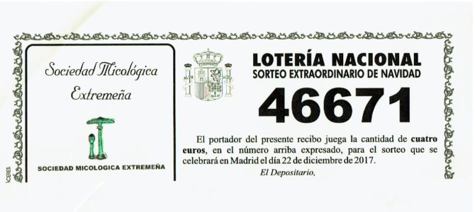 Lotería Navidad MICOEX Lotería Navidad MICOEX