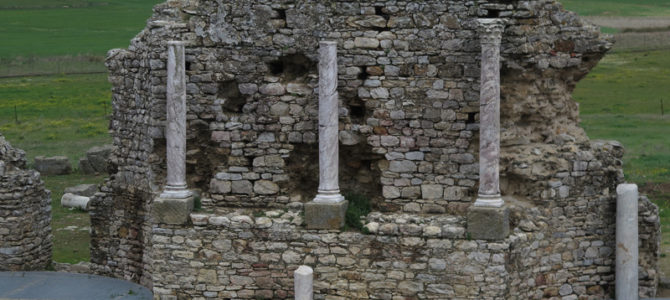 Día de la Seta de Primavera en Fuente del Arco, marzo de 2018 Día de la Seta de Primavera en Fuente del Arco, marzo de 2018