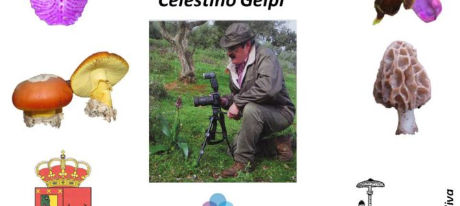 Homenaje a Celestino Gelpi Homenaje a Celestino Gelpi