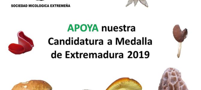Candidatura a Medalla de Extremadura 2019 Candidatura a Medalla de Extremadura 2019