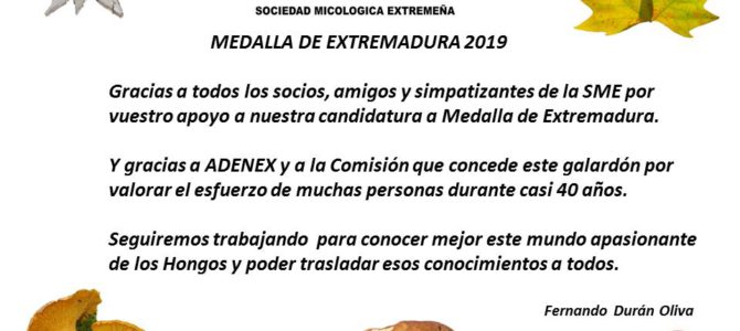 MICOEX – Medalla de Extremadura 2019 MICOEX – Medalla de Extremadura 2019