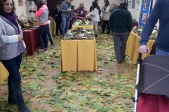 IMG-20141123-WA0035