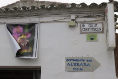 Día de la Seta de Primavera en Fuente del Arco_20218_44 (21)