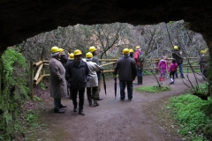 Día de la Seta de Primavera en Fuente del Arco_20218_44 (32)