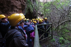 Día de la Seta de Primavera en Fuente del Arco_20218_44 (33)