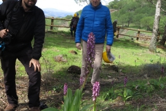 Día de la Seta de Primavera en Fuente del Arco_20218_44 (45)
