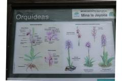 Día de la Seta de Primavera en Fuente del Arco_20218_44 (47)