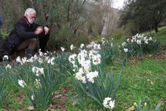 Día de la Seta de Primavera en Fuente del Arco_20218_44 (6)