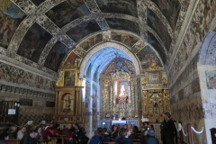 Día de la Seta de Primavera en Fuente del Arco_20218_44 (9)