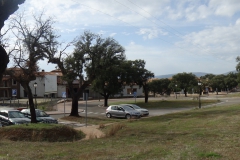 DSC02870