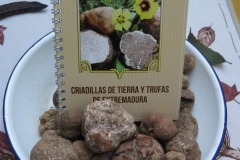 Criadillas (F. Durán)