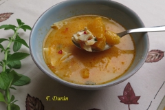 Gazpacho de poleo (F. Durán)