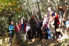 XXXVI Día de la Seta de Extremadura en Cañamero (1)