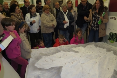 XXXVI Día de la Seta de Extremadura en Cañamero (11)