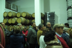 XXXVI Día de la Seta de Extremadura en Cañamero (12)