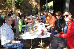 XXXVI Día de la Seta de Extremadura en Cañamero (4)