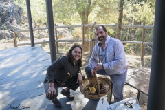 galeriaCanamero_dia_seta_extremadura_2018_micoex_sociedad_micologica_extremadura_1 (12)