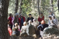 galeriaCanamero_dia_seta_extremadura_2018_micoex_sociedad_micologica_extremadura_1 (2)