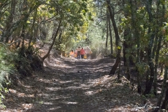 galeriaCanamero_dia_seta_extremadura_2018_micoex_sociedad_micologica_extremadura_1 (4)