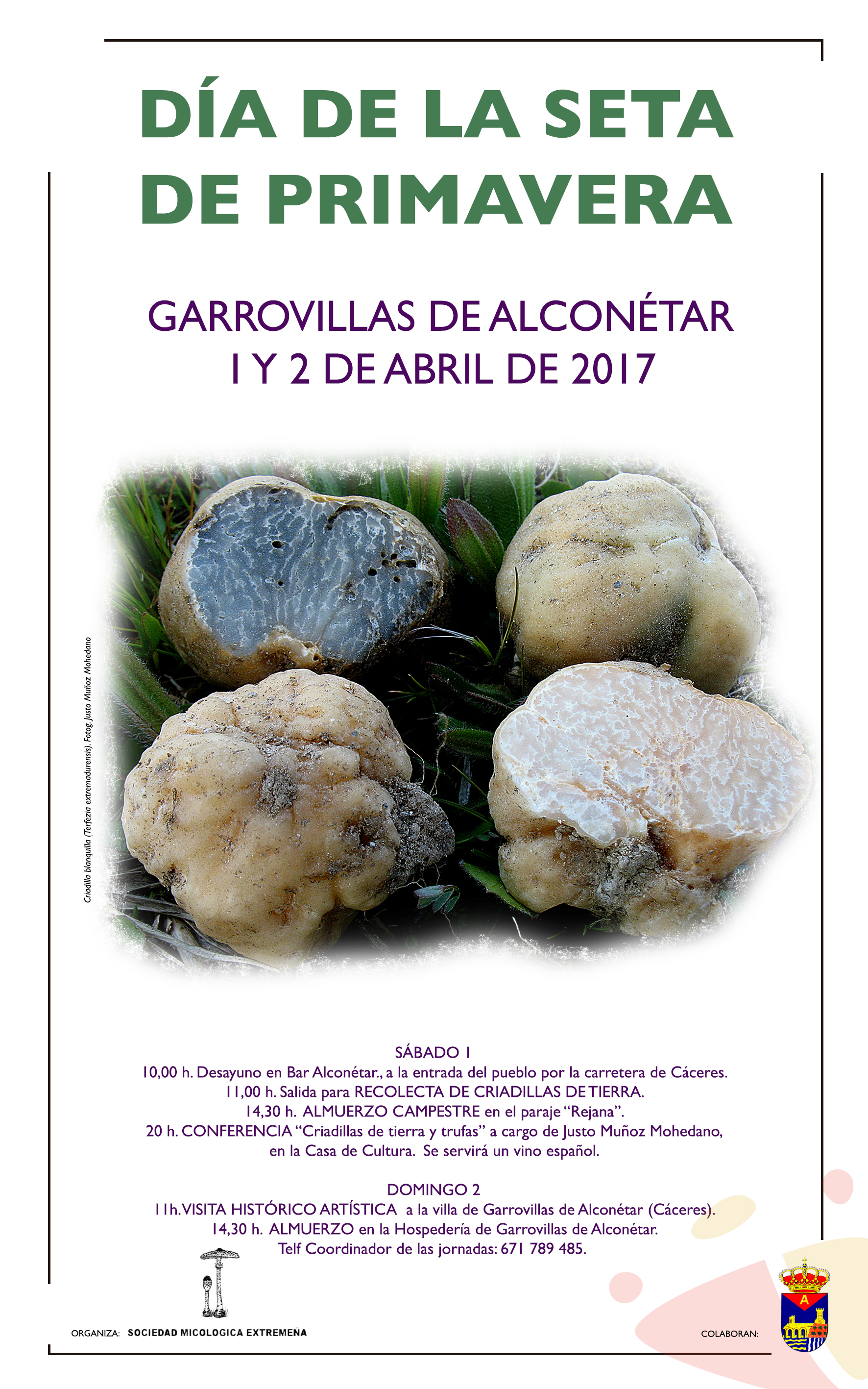 Cartel Garrovillas 2017 - Día de la seta de primavera