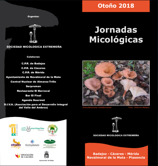 MICOEX - Jornadas micológicas Otoño 2018