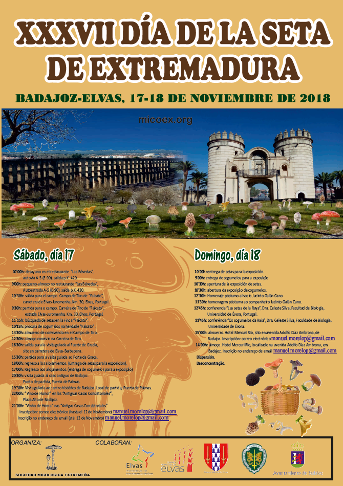 XXXVII Día de la seta de Extremadura Badajoz – Elvas