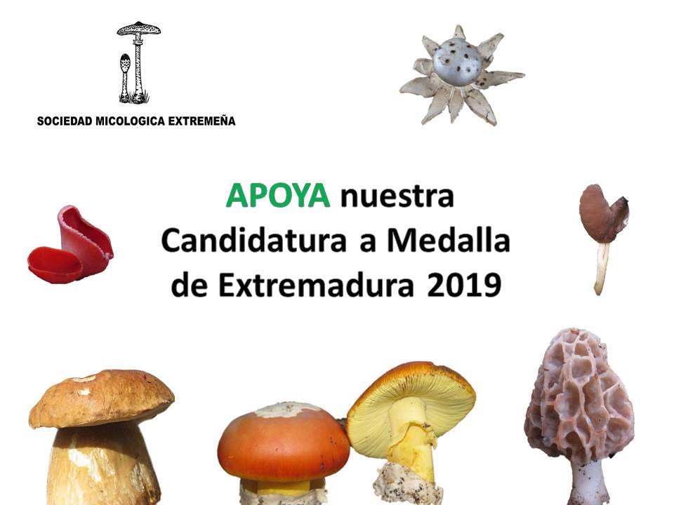 Candidatura a Medalla de Extremadura 2019