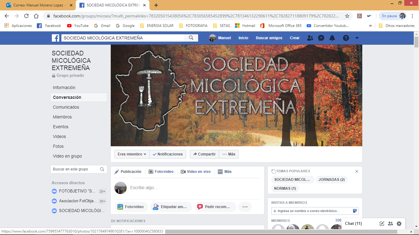 Grupo MICOEX en facebook