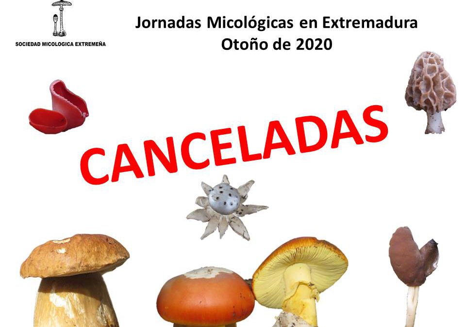 Canceladas las Jornadas Micológicas en Extremadura Otoño 2020