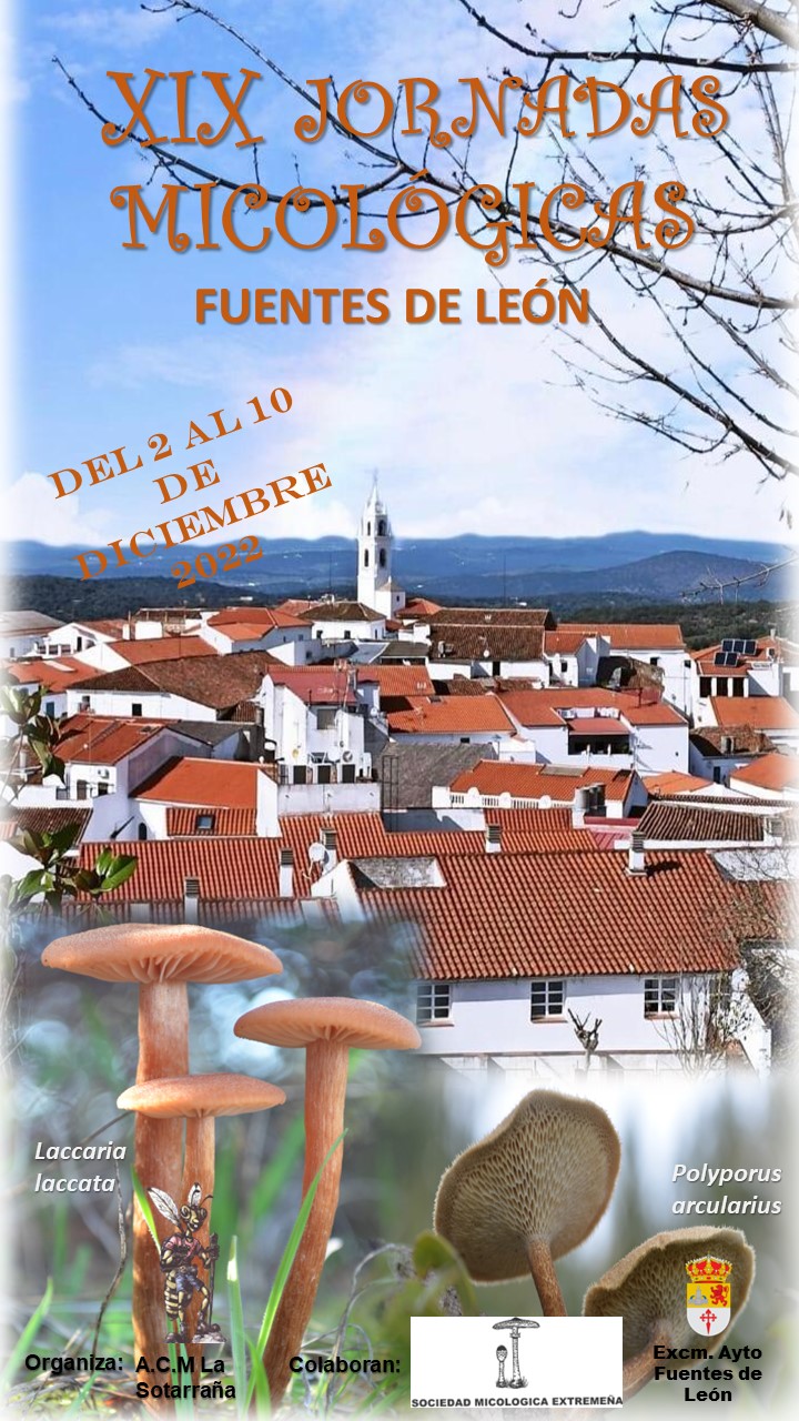 Día de la seta de Extremadura 2022 Coria