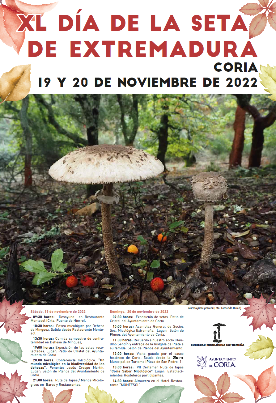 Día de la seta de Extremadura 2022 Coria
