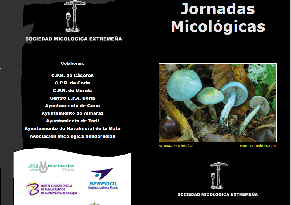 Jornada Micológica Coria 2023 - MICOEX - Setas extremadura