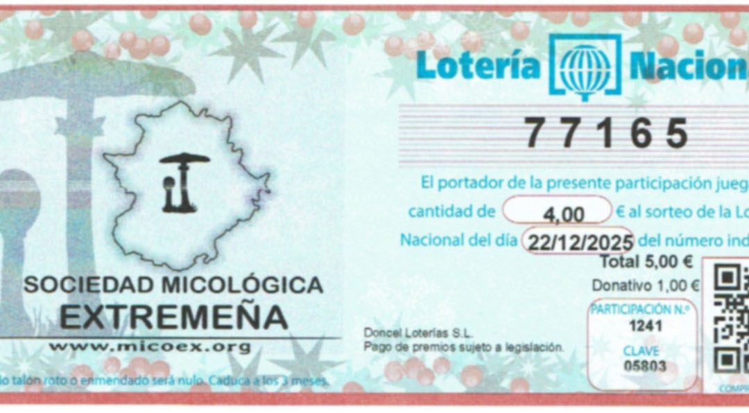 LOTERÍA NAVIDAD MICOEX 2025