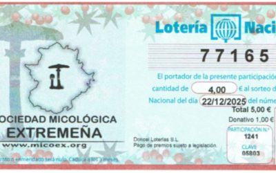 Lotería de Navidad MICOEX