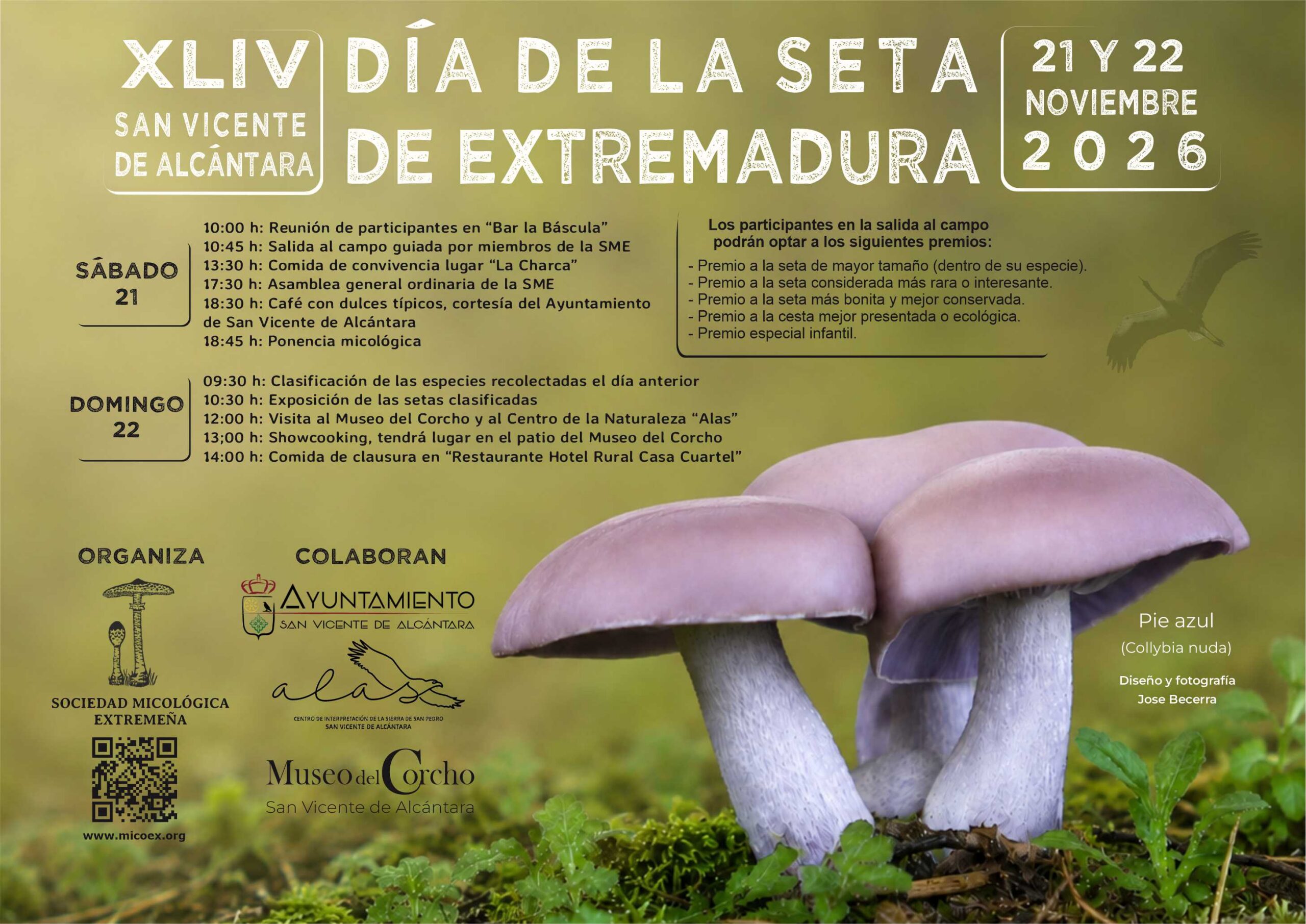 Día de la seta de Extremadura 2026 DIA DE LA SETA DE EXTREMADURA 2025, MICOEX